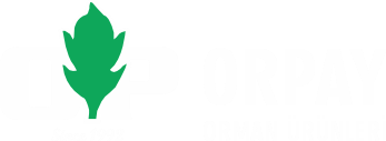 ORPAY Logo
